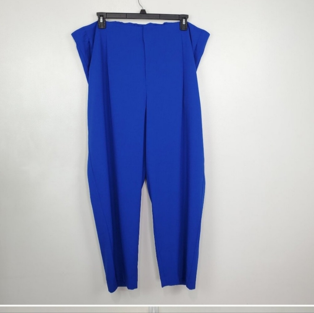 A New Day Tapered Leg Pleated Pants Trousers Blue High Rise 28" Inseam Size 22W